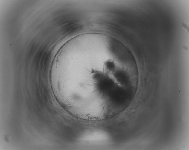 X0000103960960200810311611