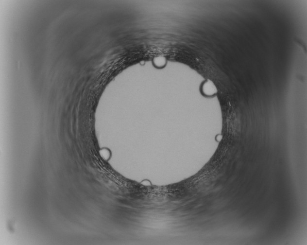 X0000103960961200810311610