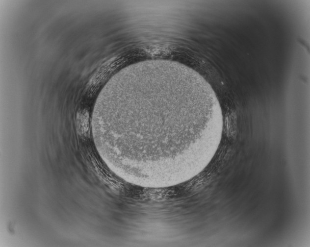 X0000103960963200810311610