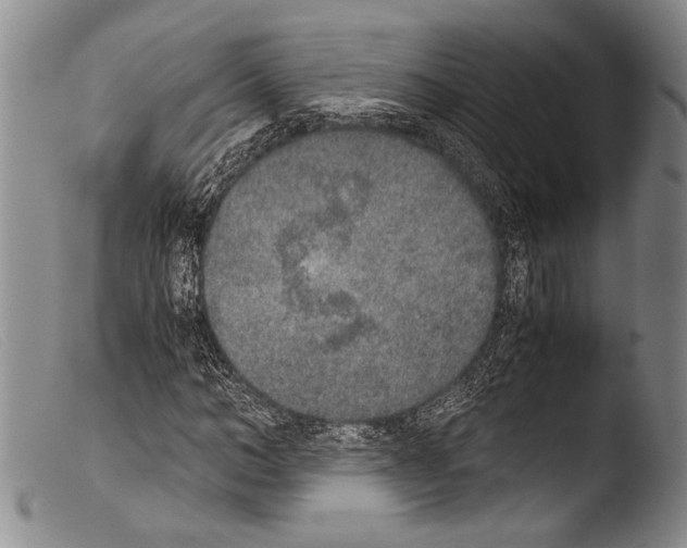 X0000103960966200810311610