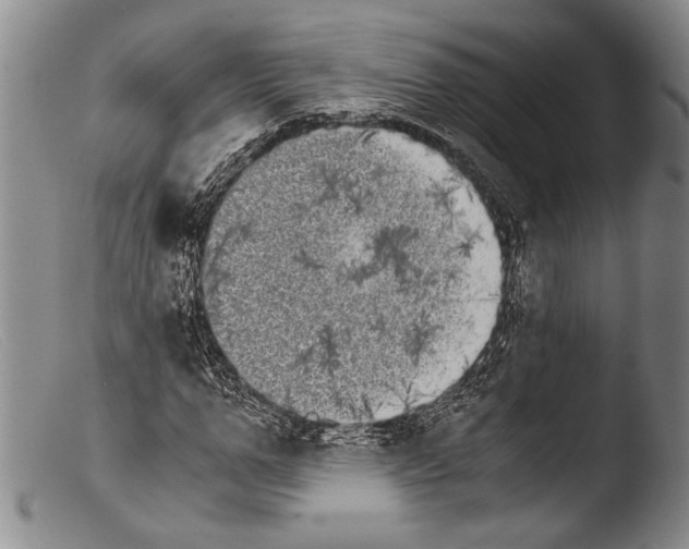 X0000103960967200810311610