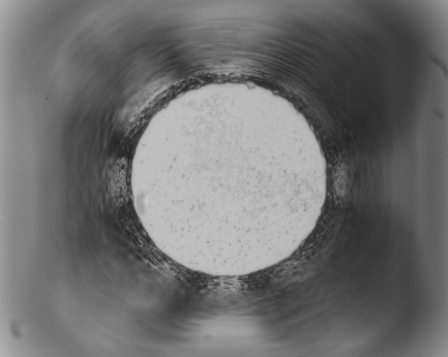 X0000103960968200810311610