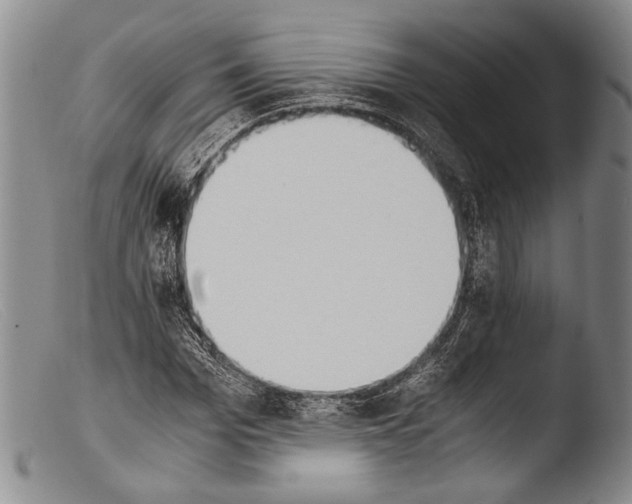 X0000103960969200810311610