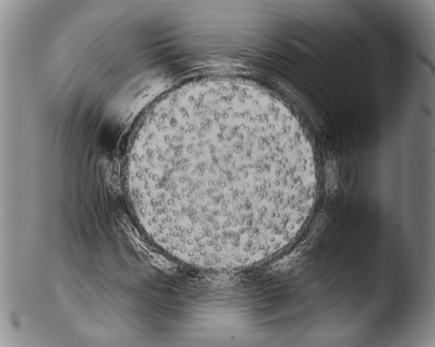 X0000103960970200810311610