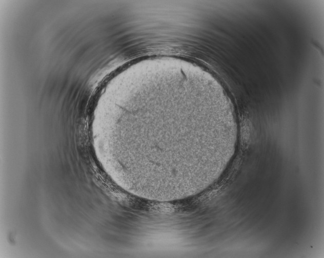 X0000103960971200810311610