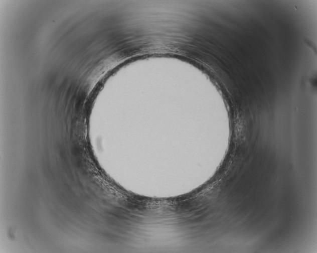 X0000103960973200810311610