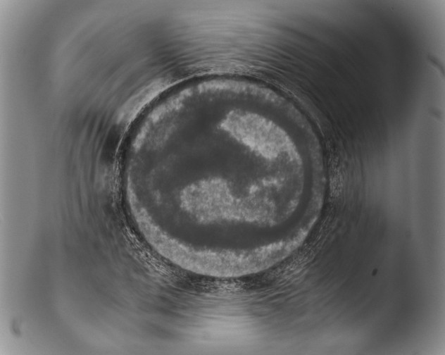 X0000103960975200810311610