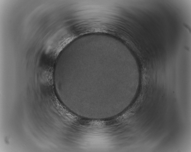 X0000103960977200810311610