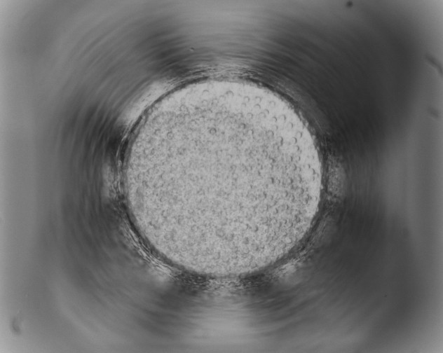 X0000103960978200810311610