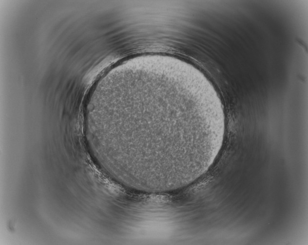 X0000103960979200810311610