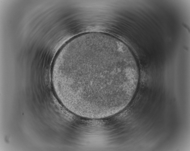 X0000103960980200810311610