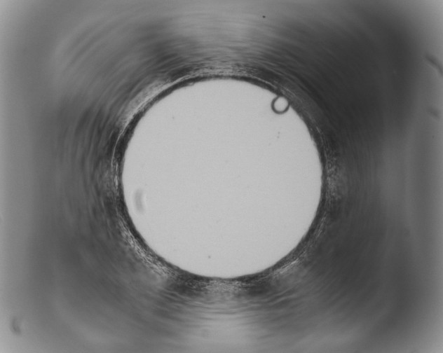 X0000103960981200810311610