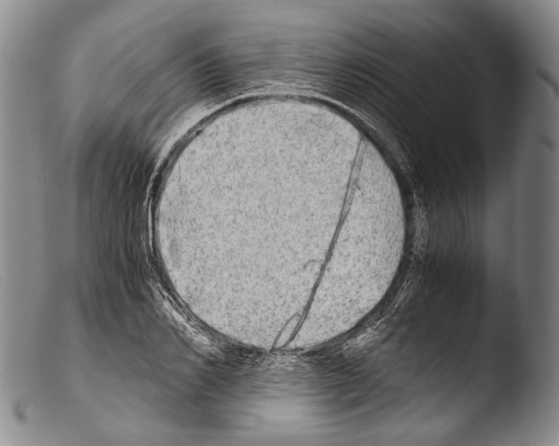 X0000103960982200810311610