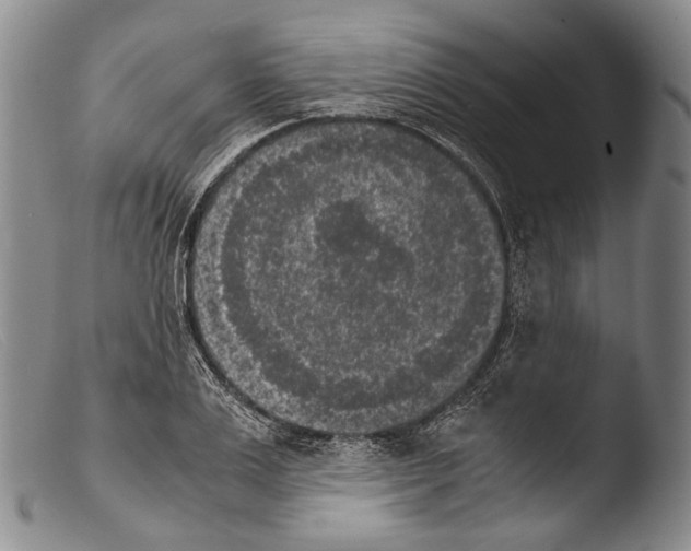 X0000103960983200810311610
