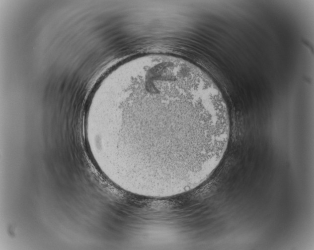 X0000103960984200810311610