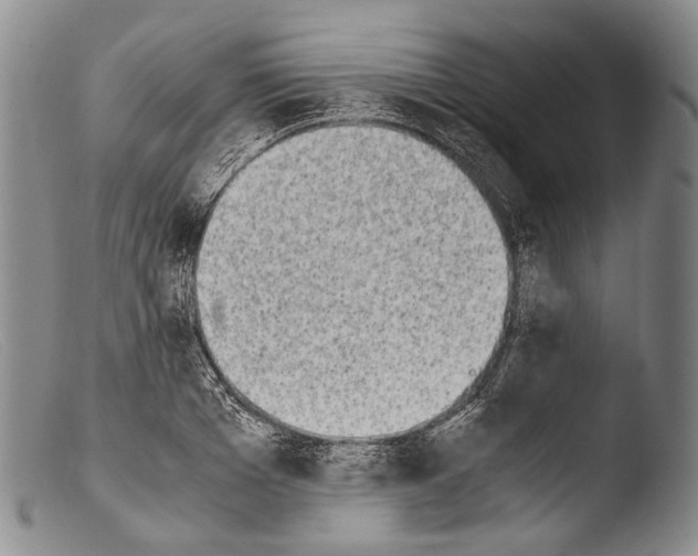 X0000103960985200810311610