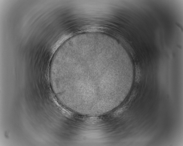 X0000103960986200810311610