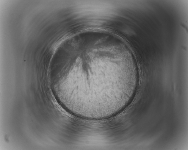 X0000103960987200810311610