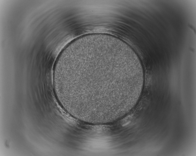 X0000103960988200810311610