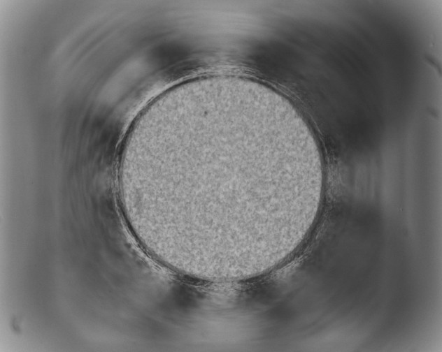 X0000103960989200810311610