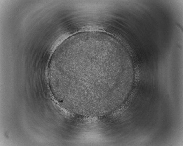 X0000103960990200810311610