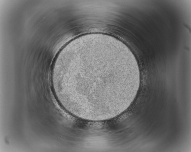 X0000103960991200810311610