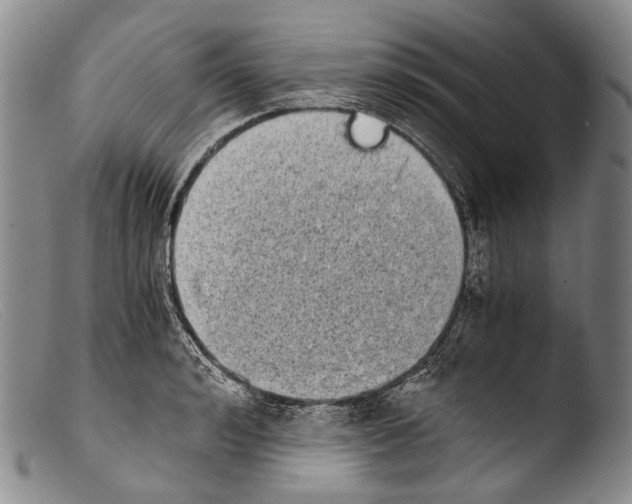 X0000103960992200810311610
