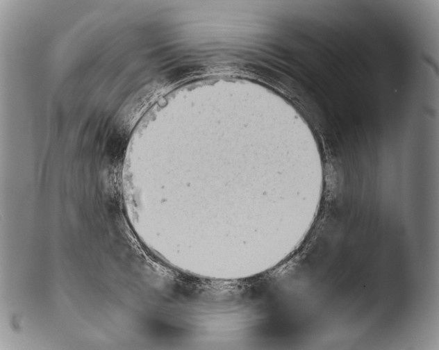X0000103960993200810311610