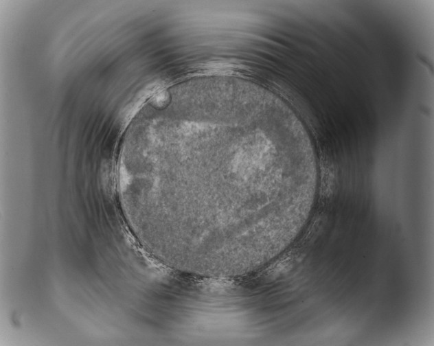 X0000103960994200810311610