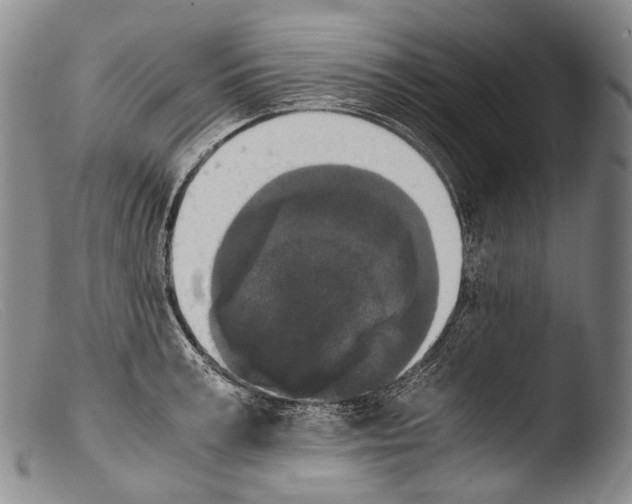 X0000103960995200810311610
