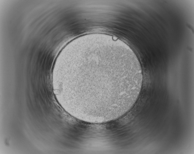 X0000103960996200810311610