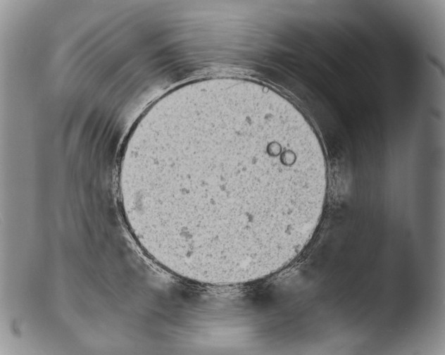 X0000103960997200810311610