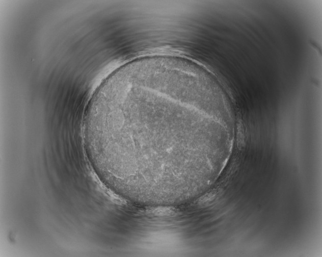 X0000103960998200810311610