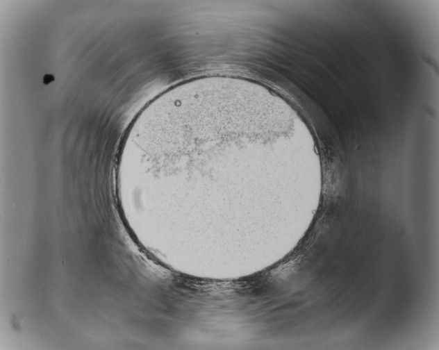 X0000103960999200810311610