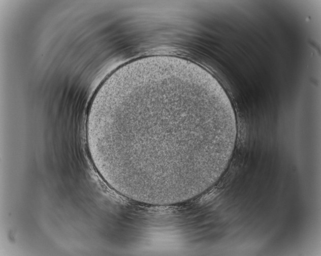 X0000103961000200810311610