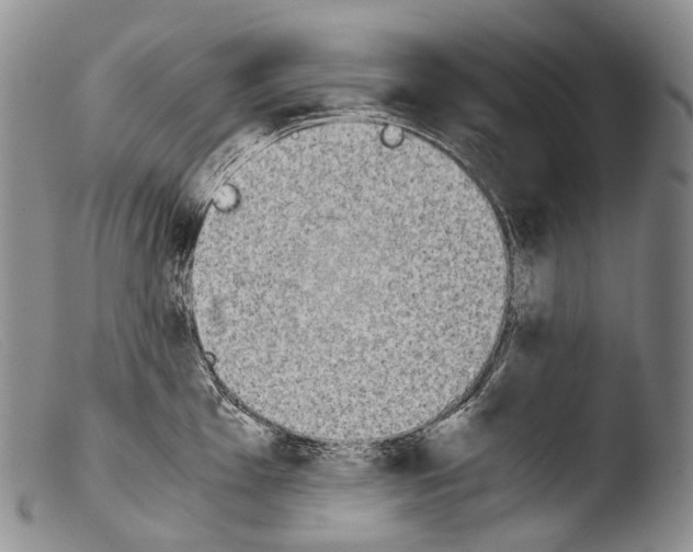 X0000103961001200810311610