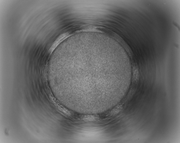 X0000103961002200810311609