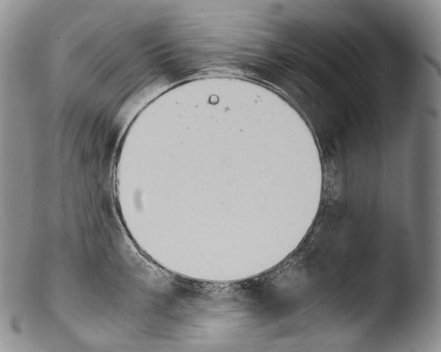 X0000103961003200810311609