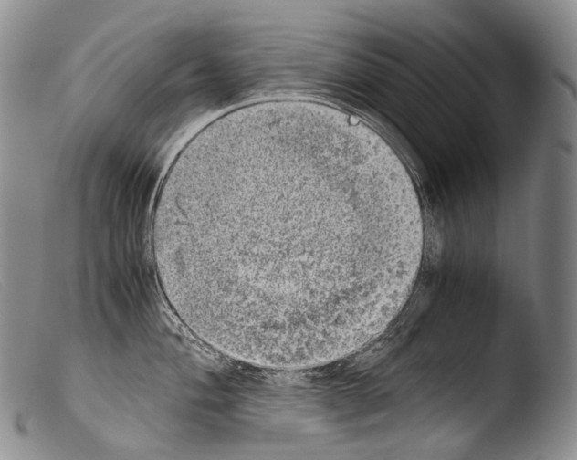X0000103961004200810311609