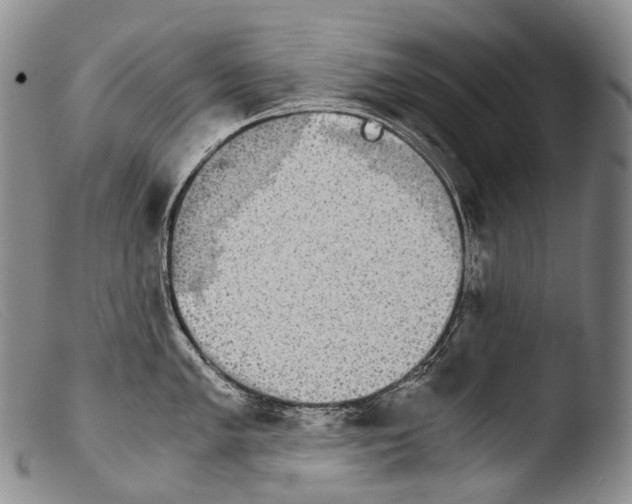 X0000103961005200810311609