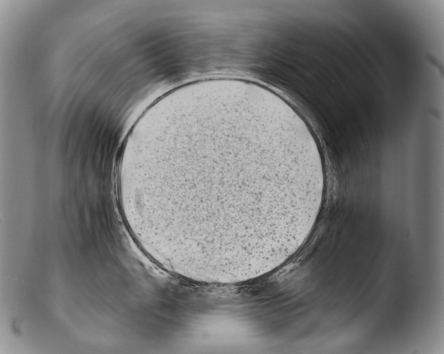 X0000103961006200810311609