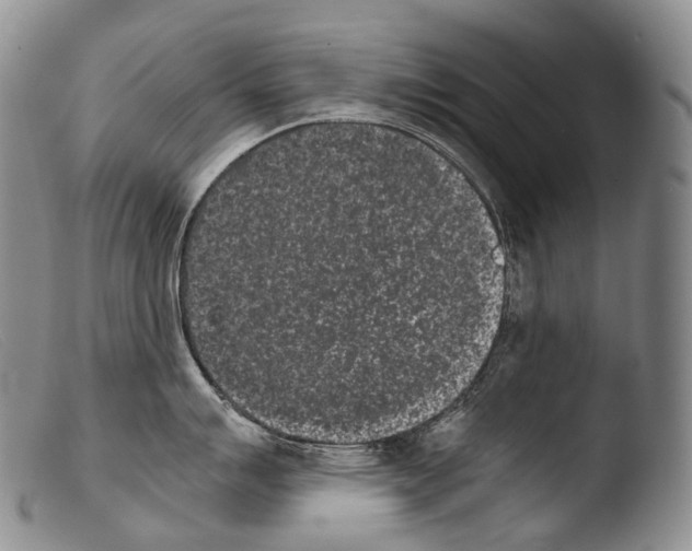 X0000103961007200810311609