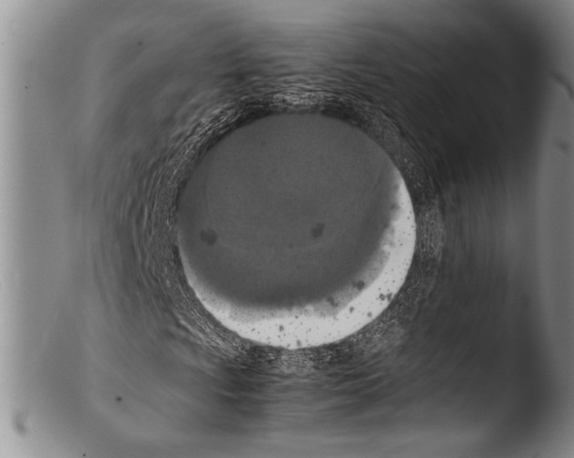 X0000103961009200810311609