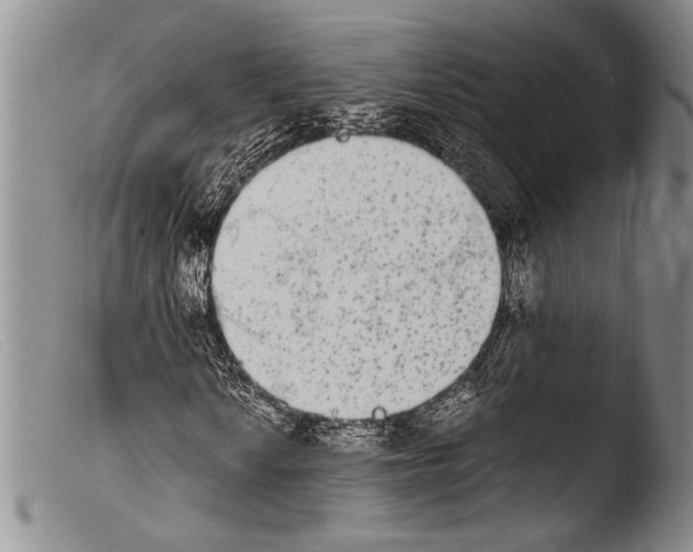 X0000103961010200810311609