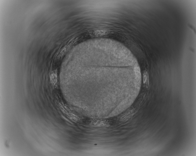 X0000103961011200810311609
