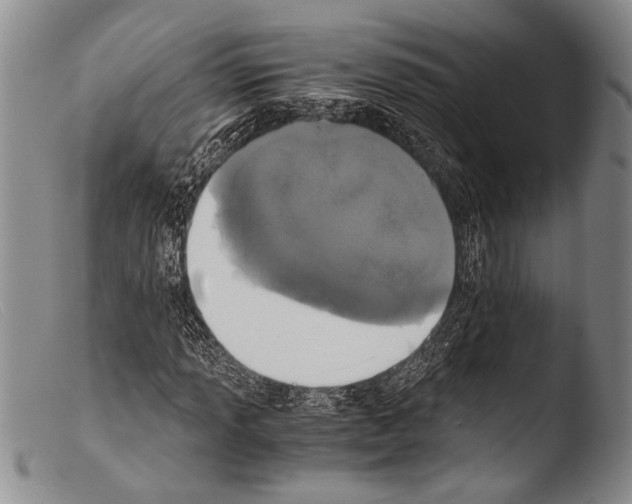X0000103961013200810311609