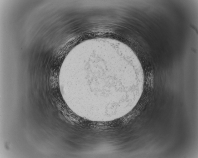 X0000103961014200810311609