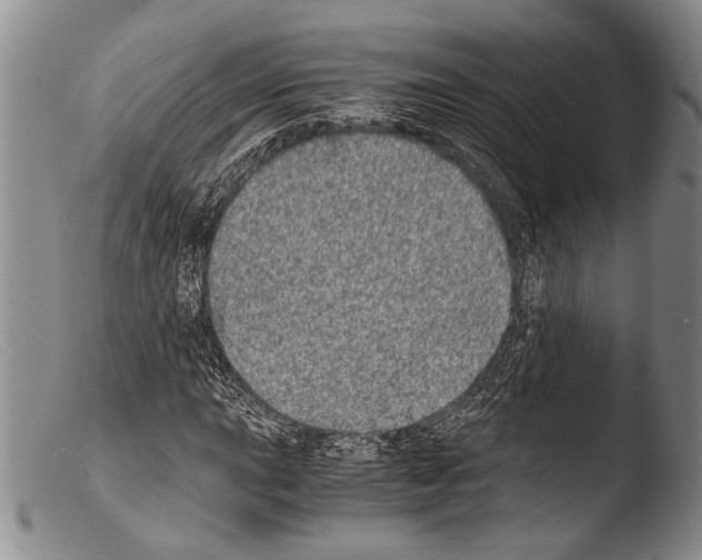 X0000103961015200810311609
