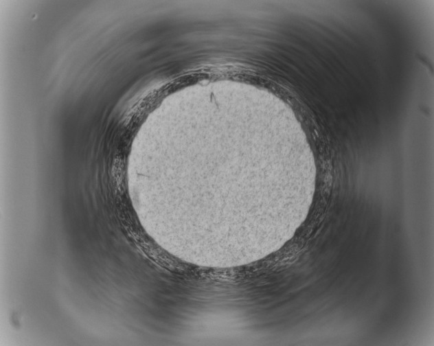 X0000103961016200810311609
