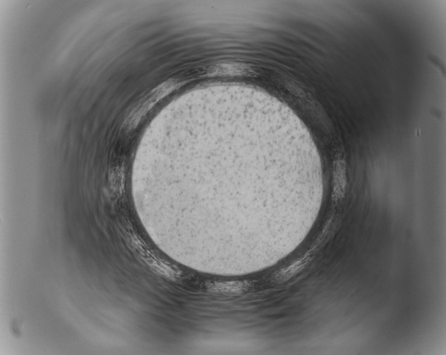X0000103961017200810311609